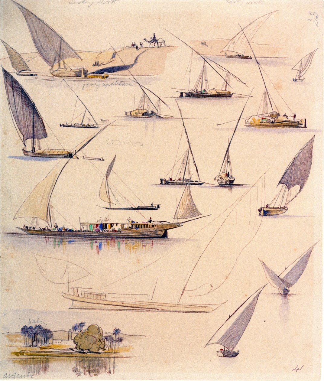  av Edward Lear