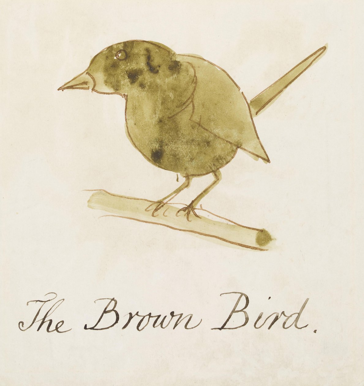 The Brown Bird, fra Sixteen Drawings of Comic Birds (penn og blekk wc på papir) av Edward Lear