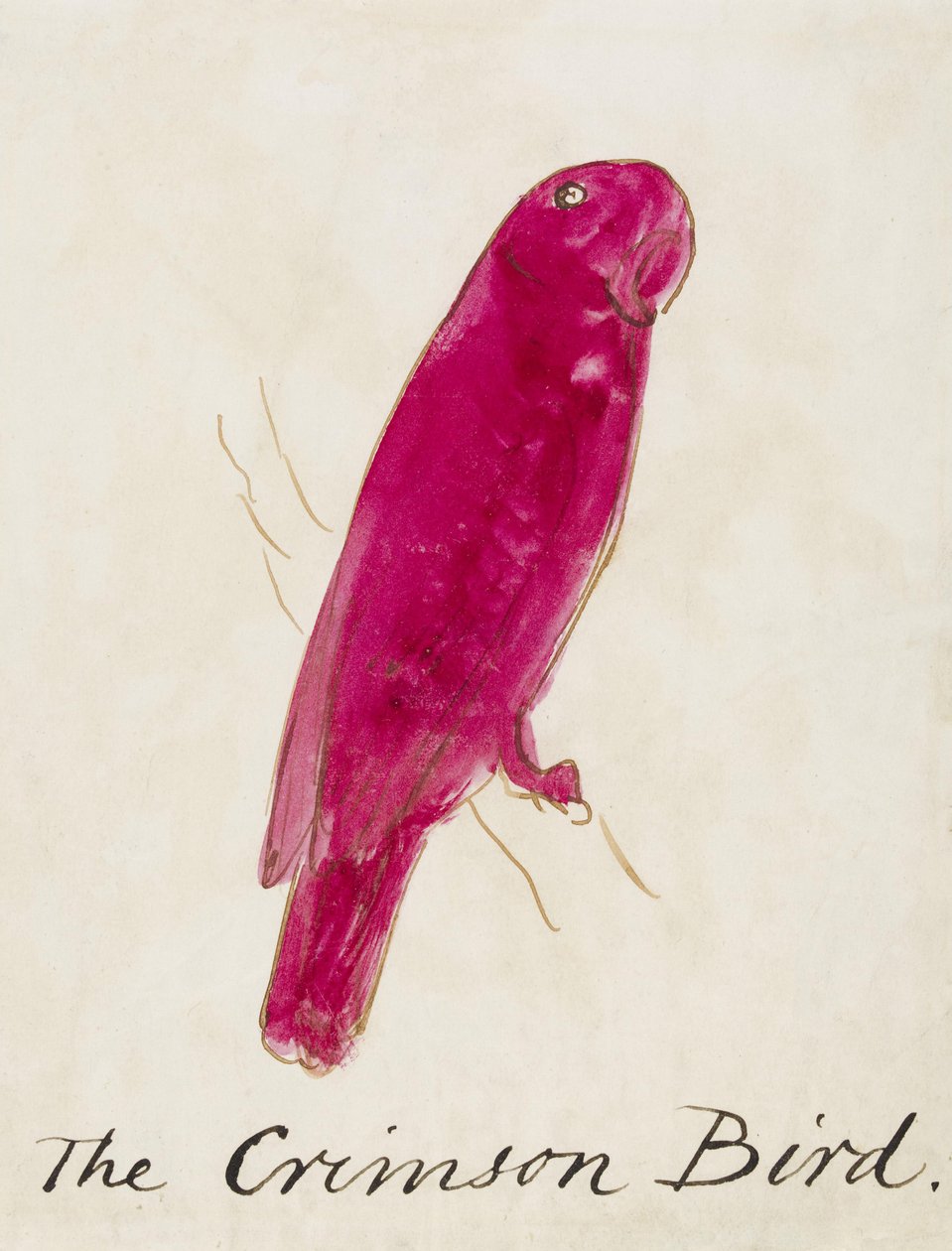 The Crimson Bird, fra Sixteen Drawings of Comic Birds (penn og blekk wc på papir) av Edward Lear