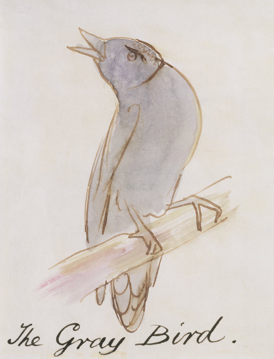 The Grey Bird, fra 