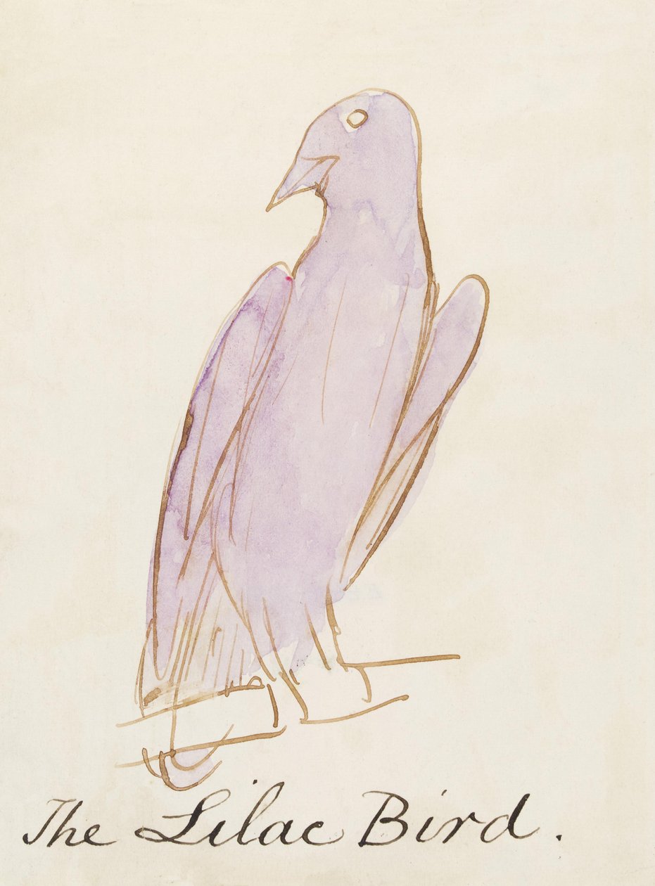 The Lilac Bird, fra Sixteen Drawings of Comic Birds (penn og blekk wc på papir) av Edward Lear