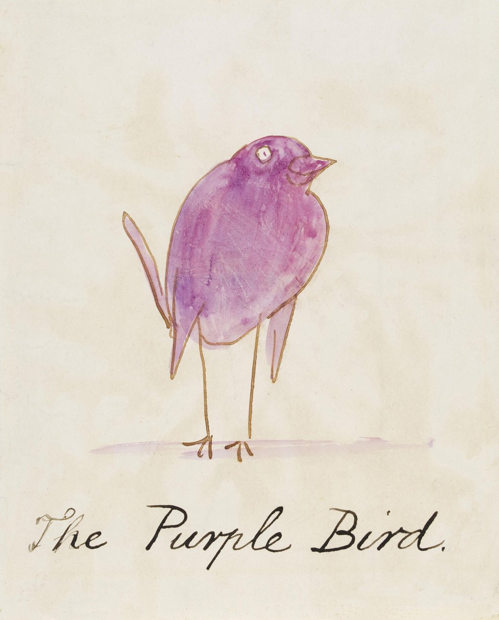 The Purple Bird, fra "Sixteen Drawings of Comic Birds" av Edward Lear