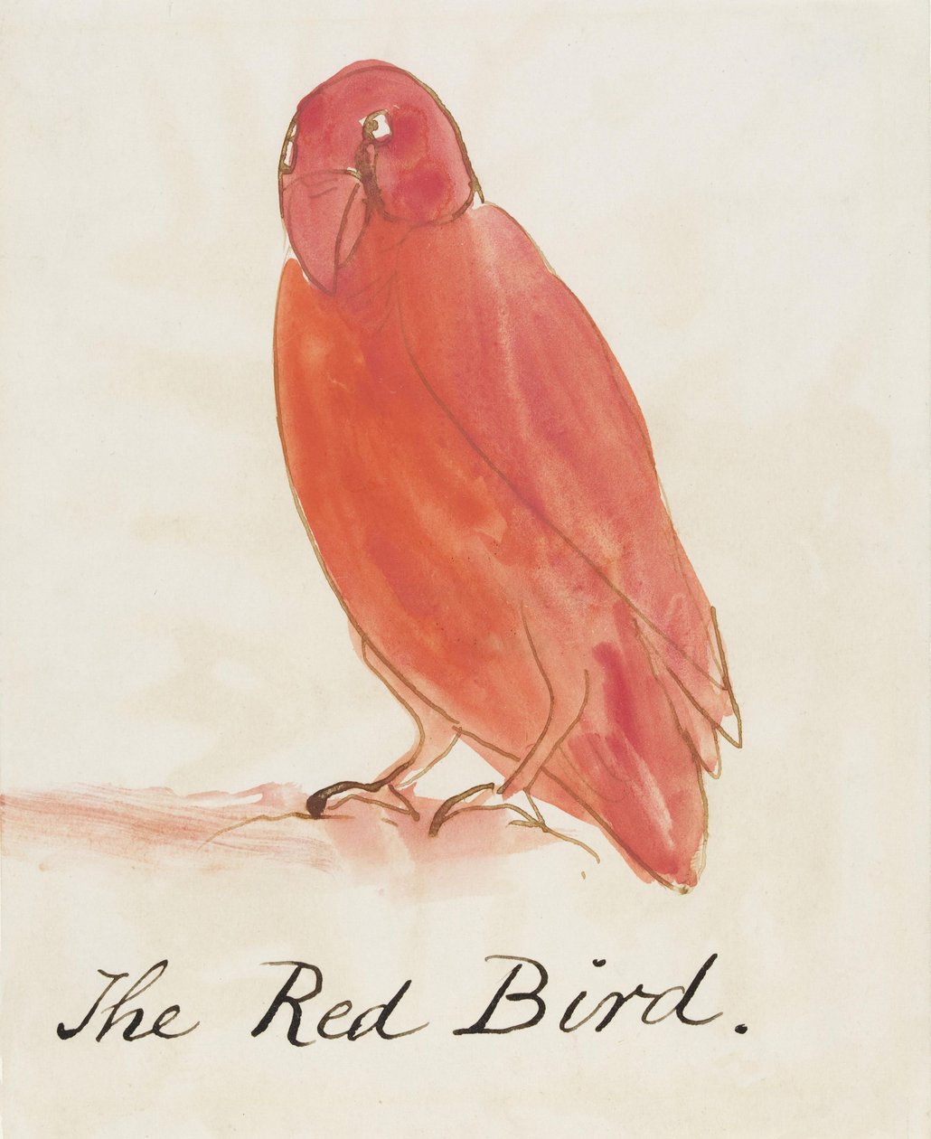 The Red Bird, fra Sixteen Drawings of Comic Birds (penn og blekk wc på papir) av Edward Lear