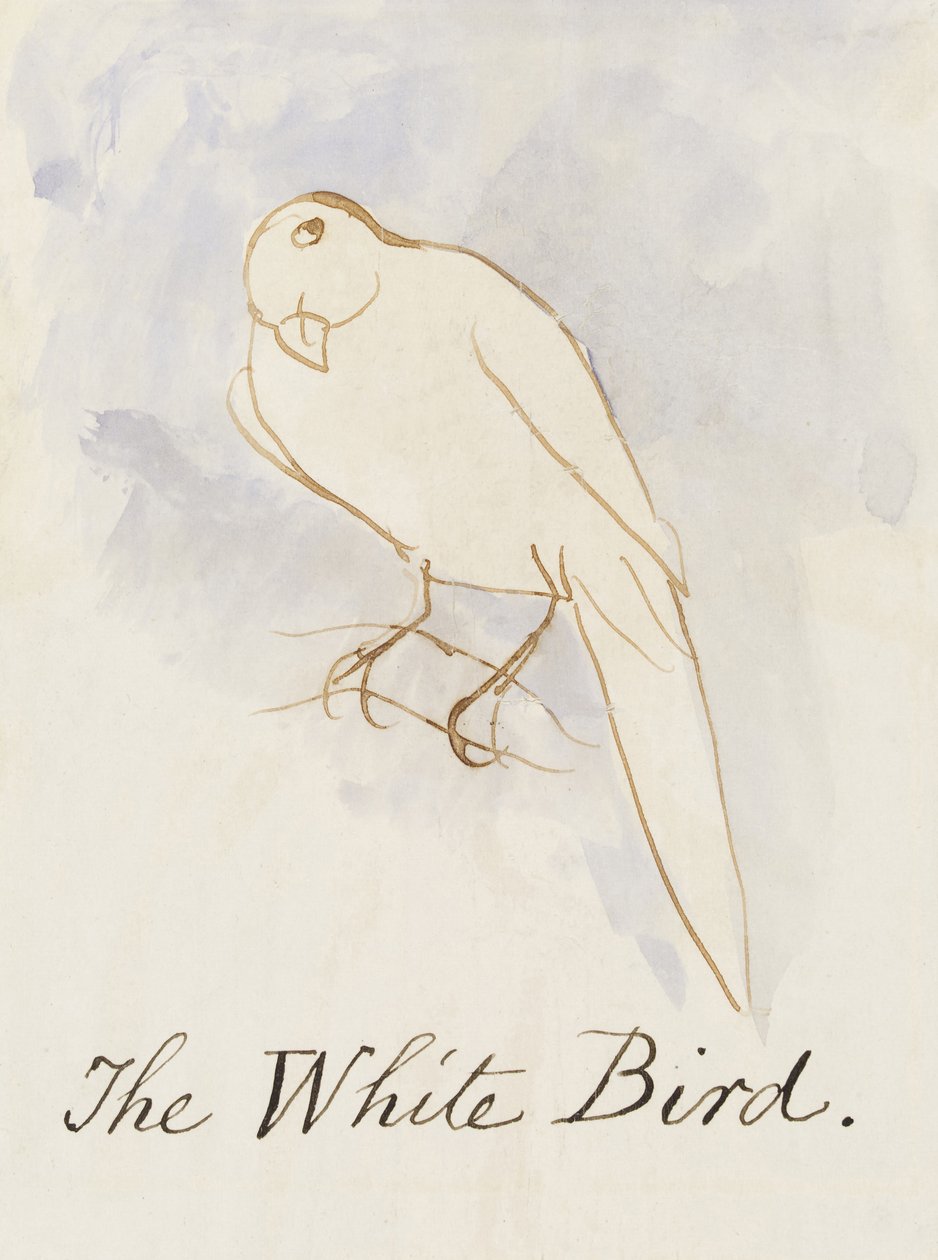 The White Bird, fra Sixteen Drawings of Comic Birds (penn og blekk wc på papir) av Edward Lear