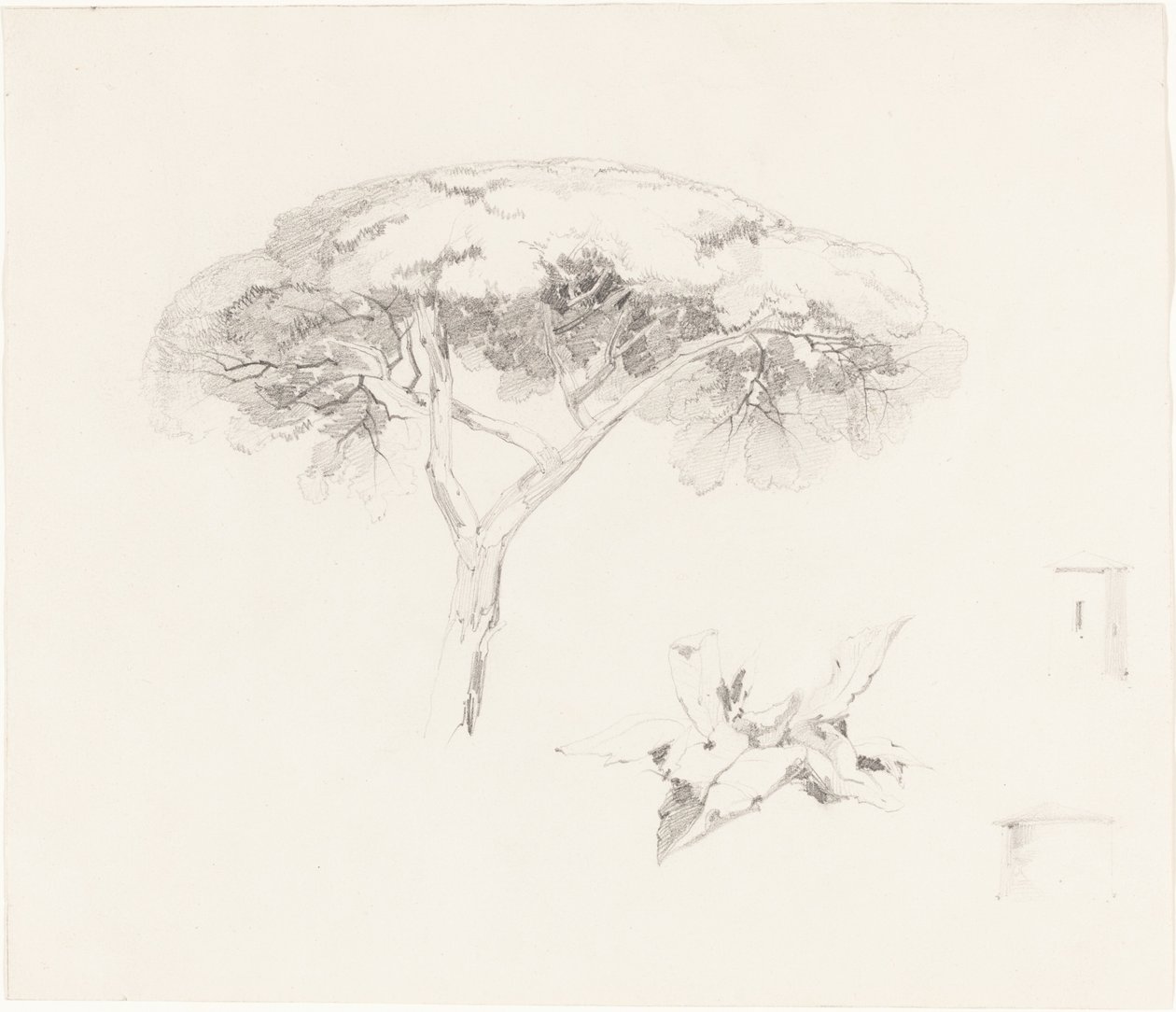 Paraplyfuru og andre studier, 18391845. av Edward Lear