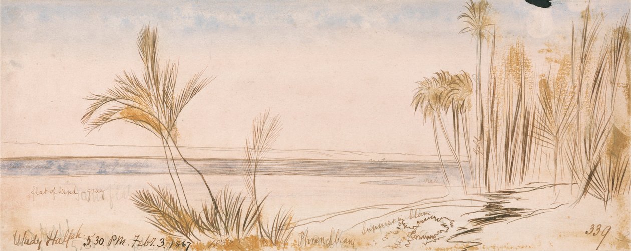 av Edward Lear