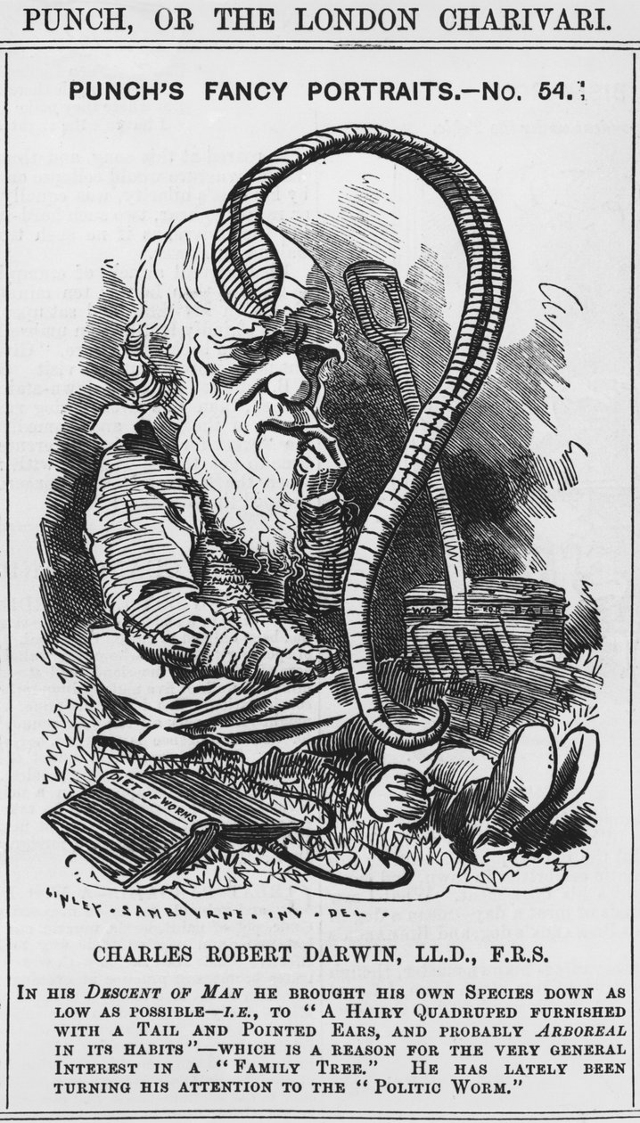 Charles Darwin, Punchs fancy portretter, nr. 54, illustrasjon fra 