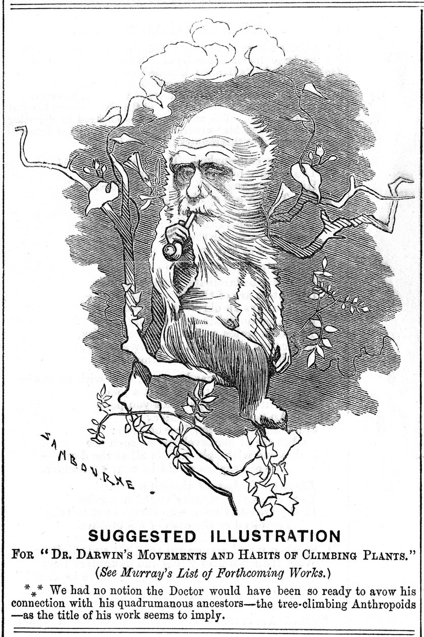 Charles Darwin, engelsk naturforsker, 1875 av Edward Linley Sambourne