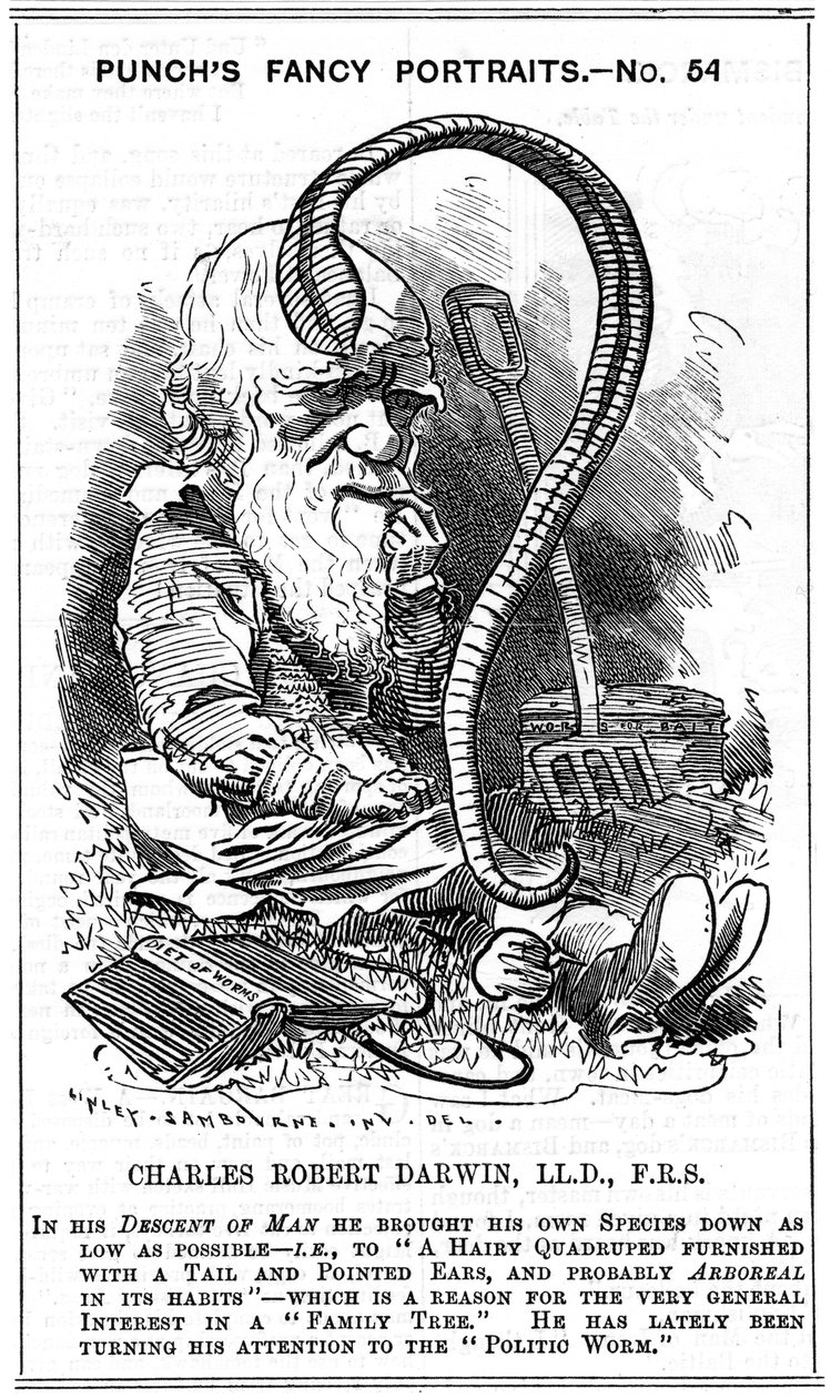Charles Darwin, engelsk naturforsker, 1881 av Edward Linley Sambourne