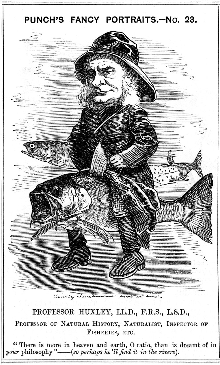 Thomas Henry Huxley , engelsk biolog, 1881 av Edward Linley Sambourne