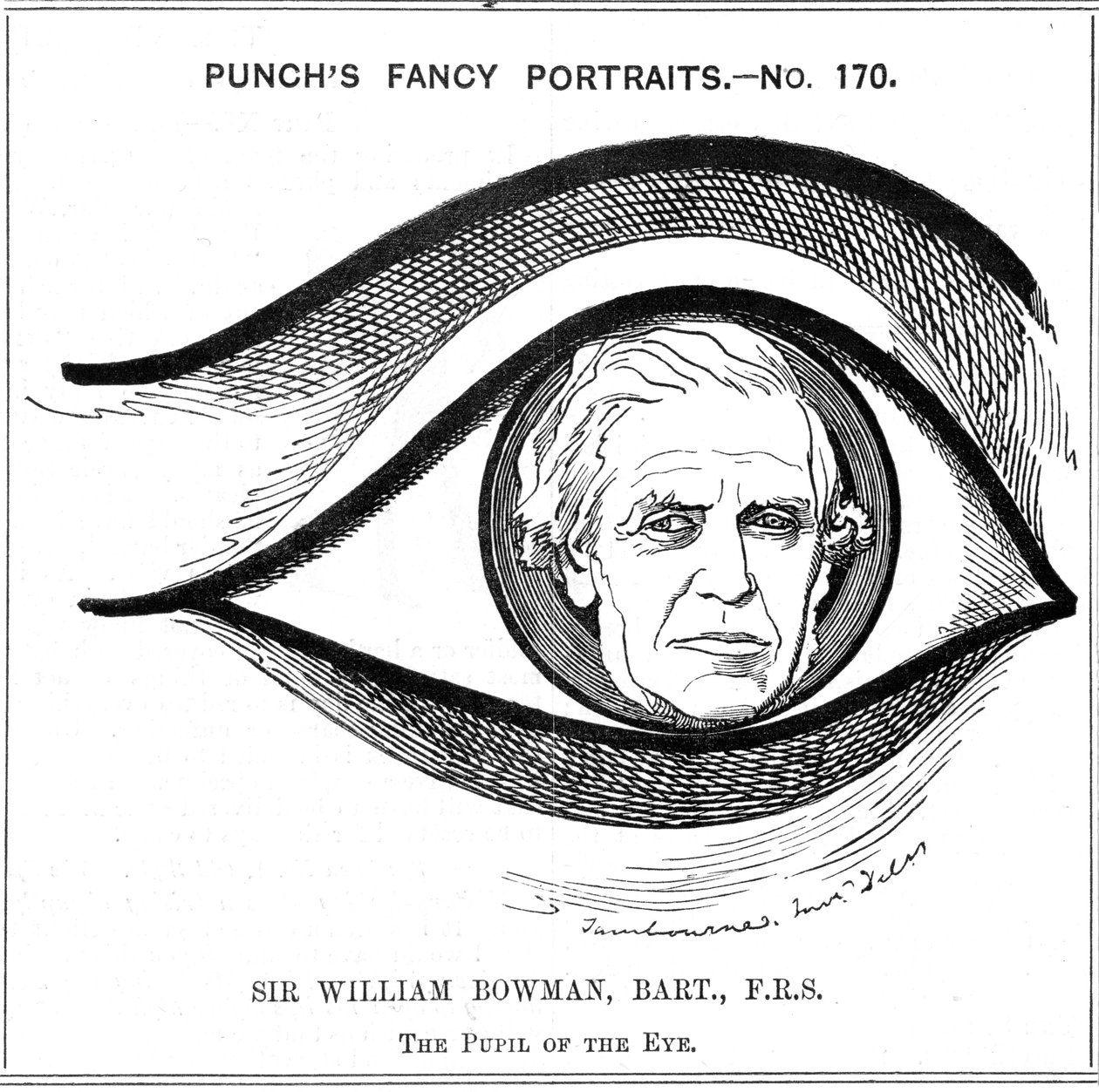 William Bowman , engelsk anatom, kirurg og øyelege, 1884 av Edward Linley Sambourne