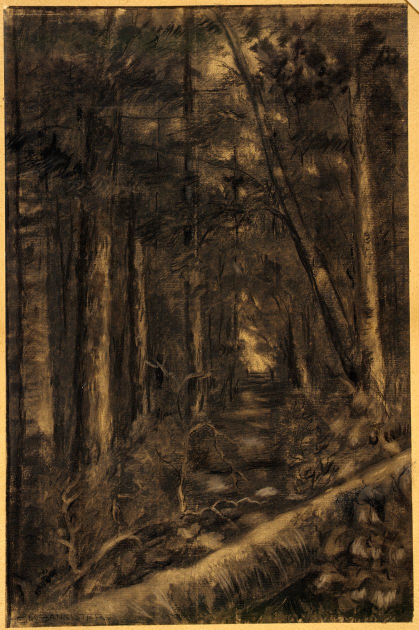  av Edward Mitchell Bannister