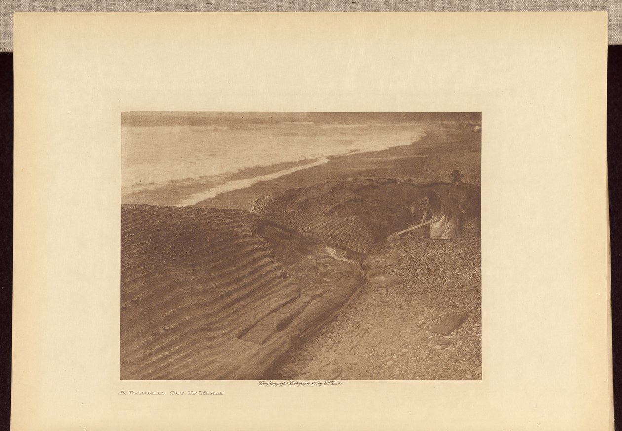  av Edward S. Curtis