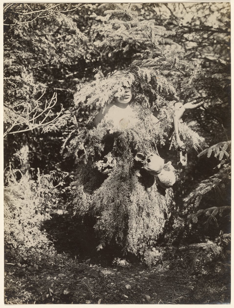  av Edward S. Curtis