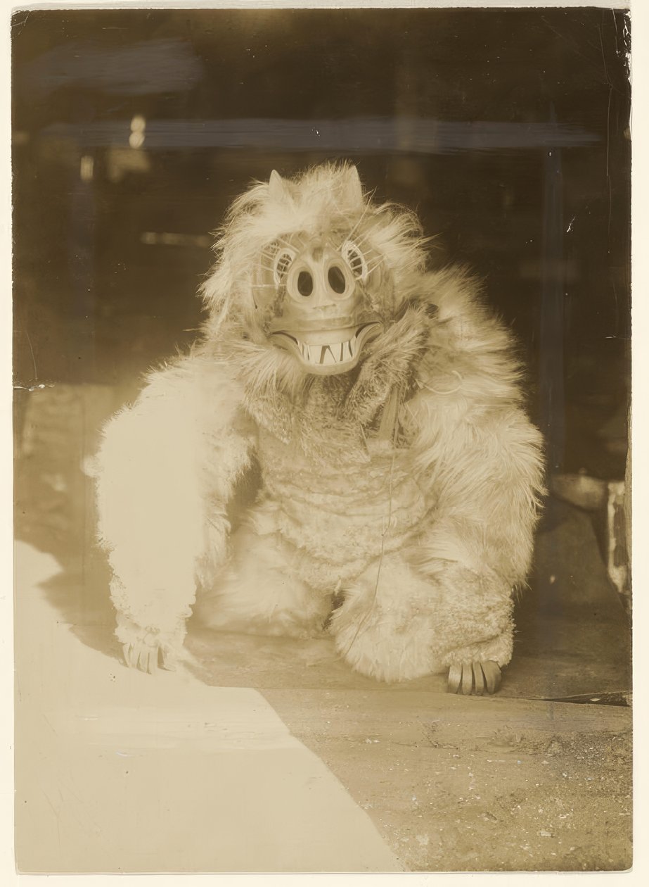  av Edward S. Curtis