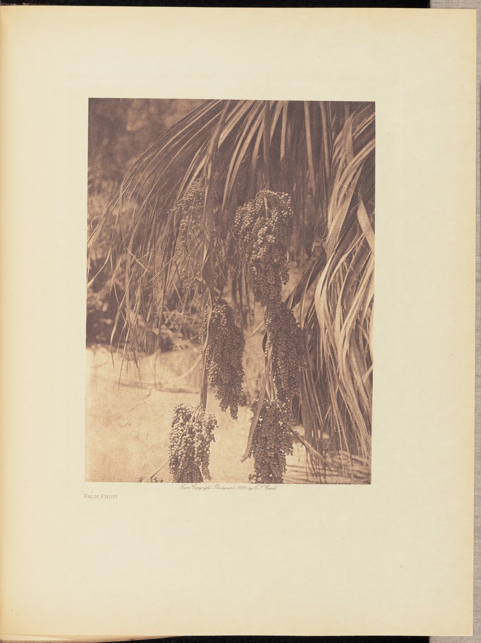  av Edward S. Curtis