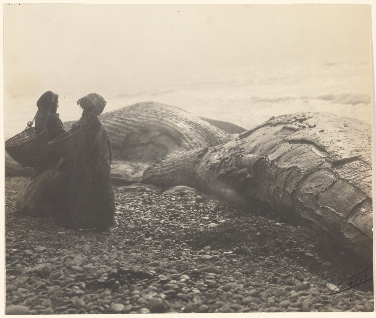  av Edward S. Curtis