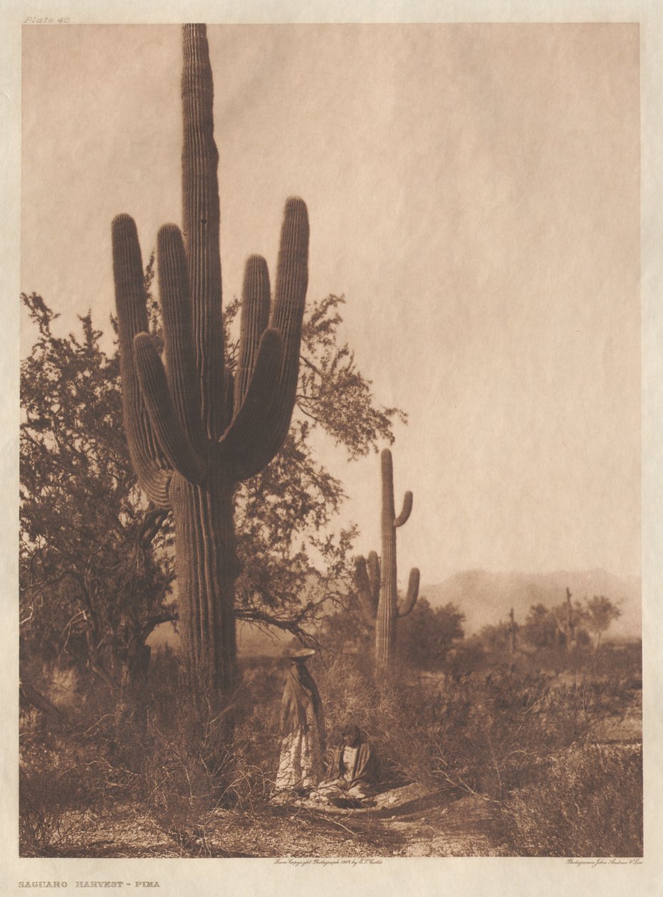  av Edward S. Curtis