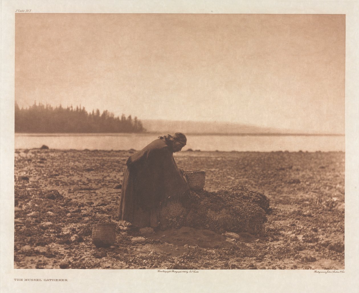 Portefølje IX, Plate 313: Blåskjellsamleren av Edward S. Curtis