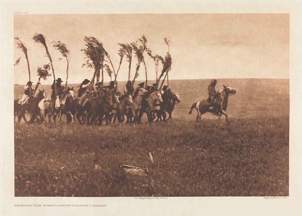 Portfolio VI, Plate 205: Bringing the Sweat-Lodge Willows – Piegan av Edward S. Curtis