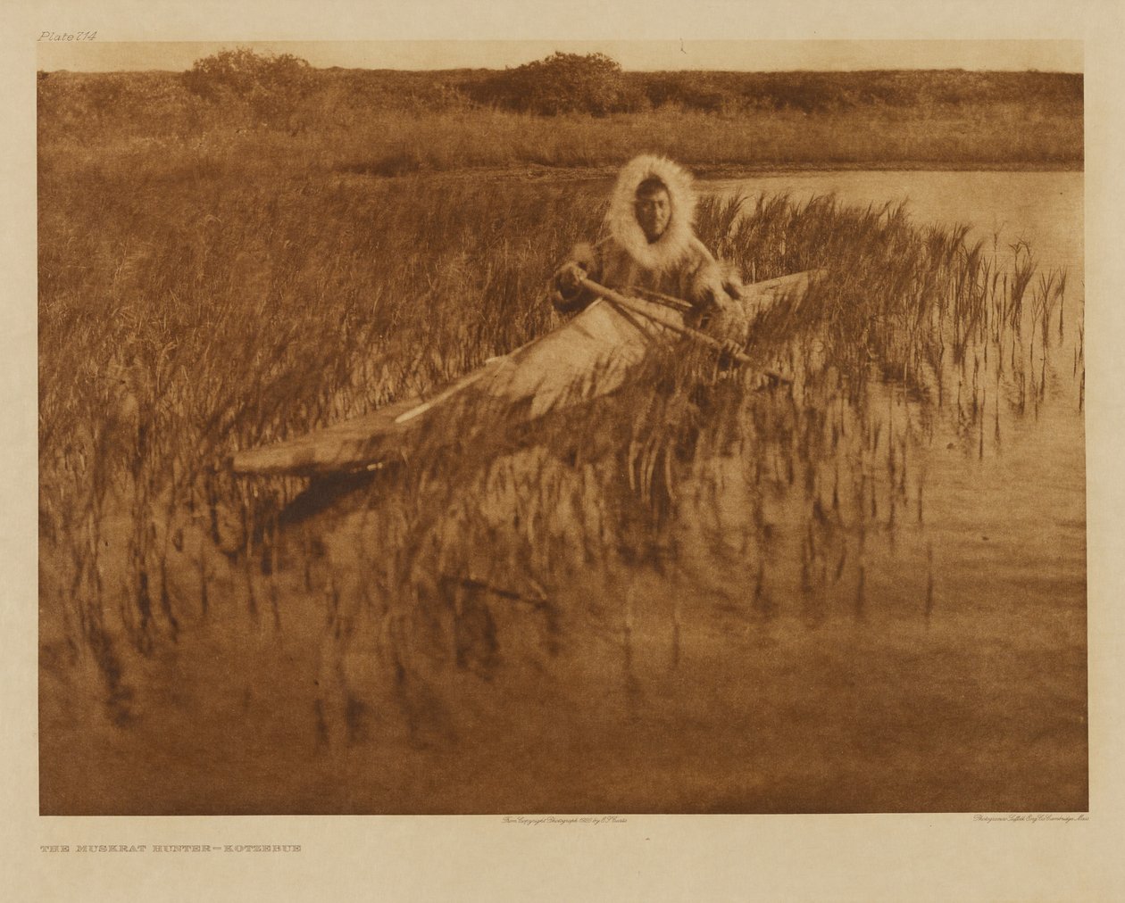 Bisamrottejegeren - Kotzebue av Edward S. Curtis