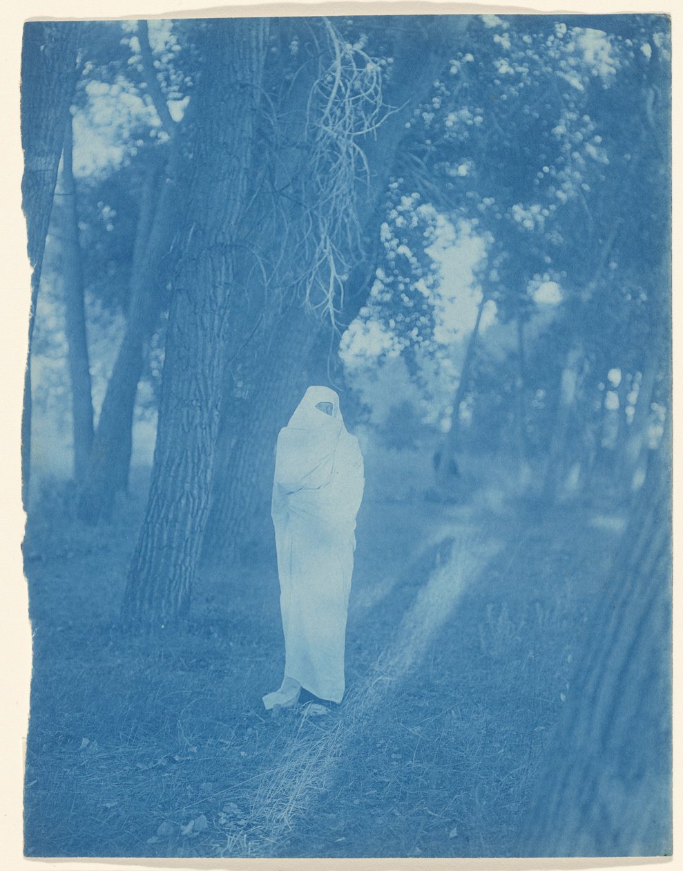 Venter i skogen - Cheyenne av Edward S. Curtis