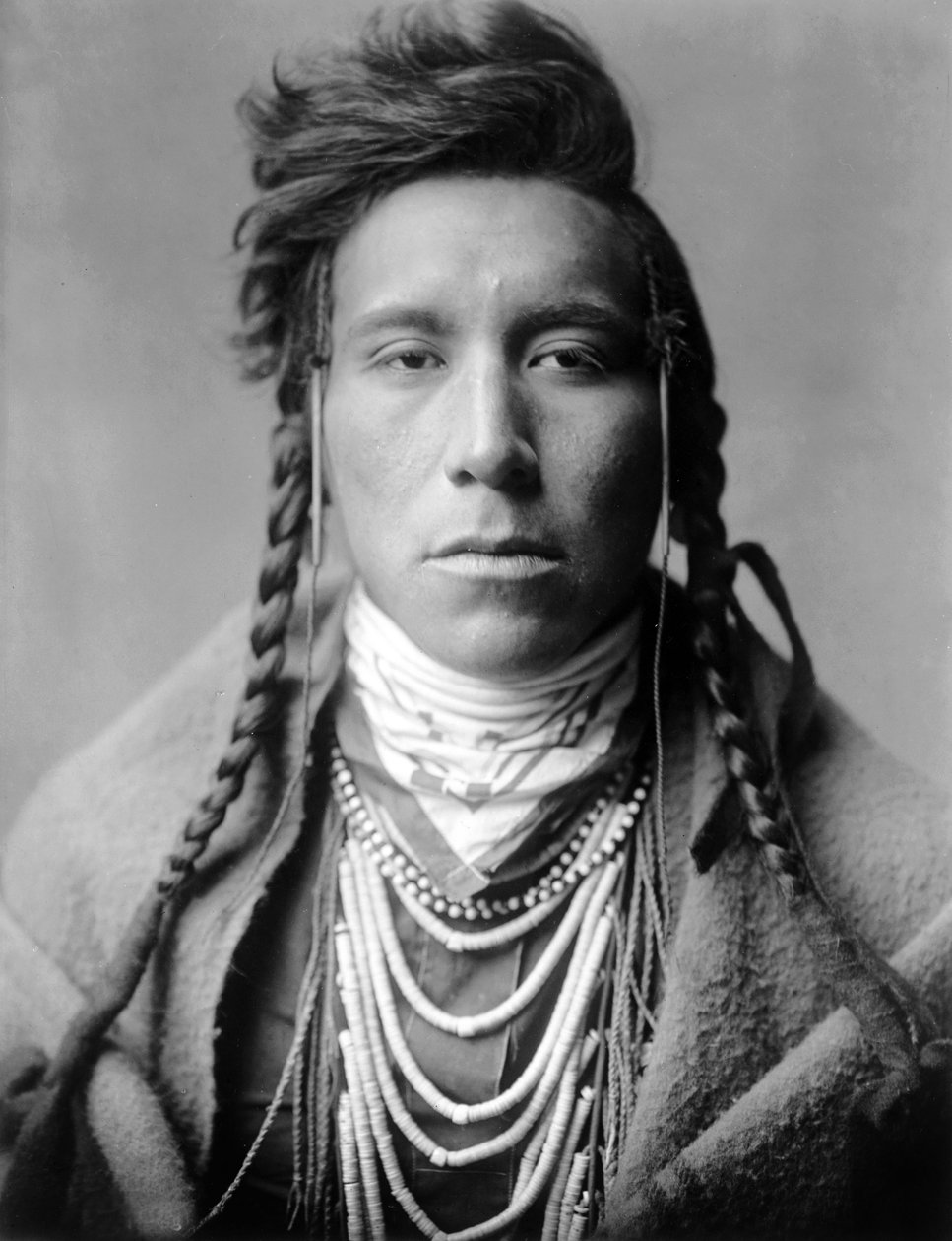Bird on High Land, Crow Indian, Montana, USA, ca. 1908, foto Edward S. Curtis av Edward Sheriff Curtis