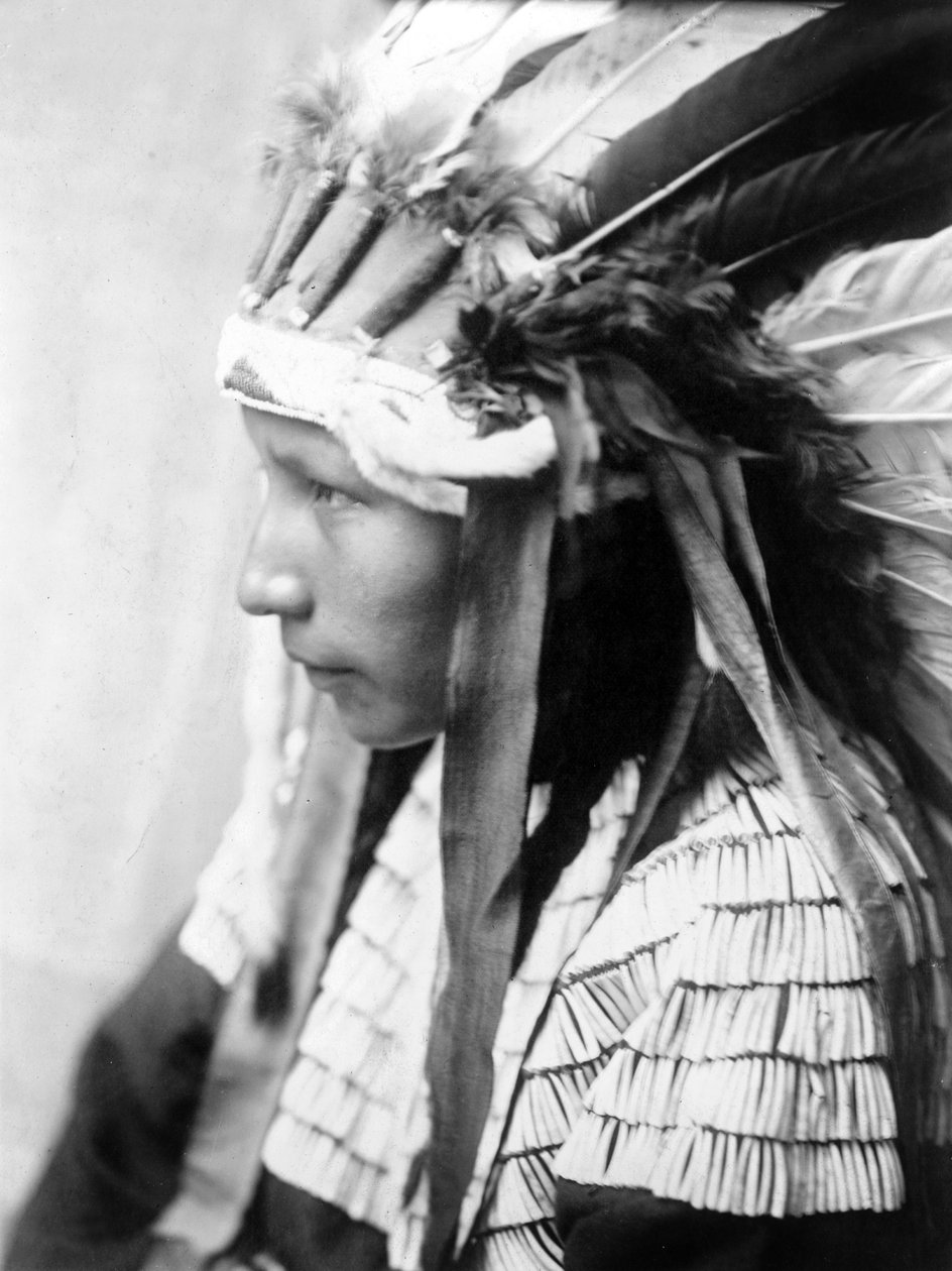 Cheyenne-jente, The Daughter of Bad Horse (profil), ca. 1905, foto Edward S. Curtis av Edward Sheriff Curtis