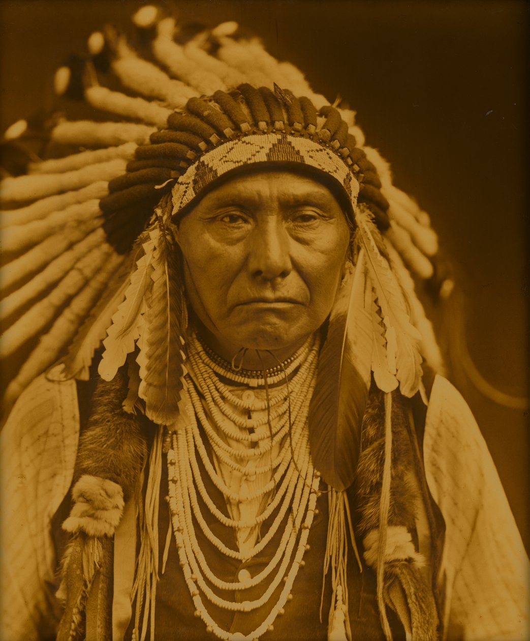 Høvding Joseph av Edward Sheriff Curtis
