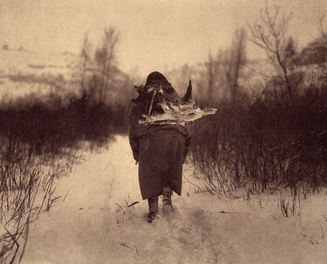 Skal på leir. En apsaroke-indianer som bærer ved i snøen, i en liten vinterleir nær en bekk i Pryor-fjellene, Montana. Foto tatt fra bind 4 av leksikonet utgitt av Edward S. Curtis (1868-1952) om indianerne i Nord-Amerika, med av Edward Sheriff Curtis