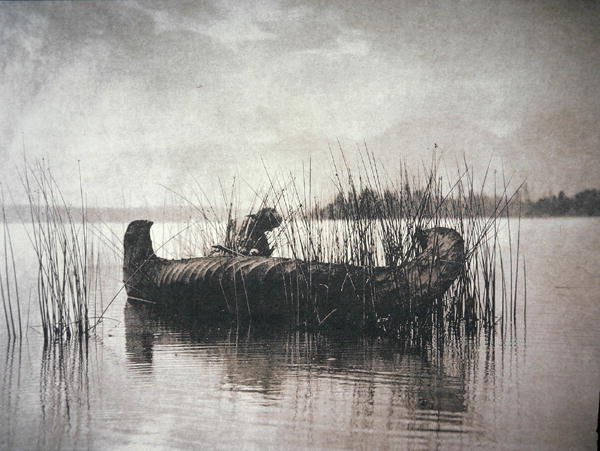 The Rush Gatherer, Montana (s/hvitt bilde) av Edward Sheriff Curtis