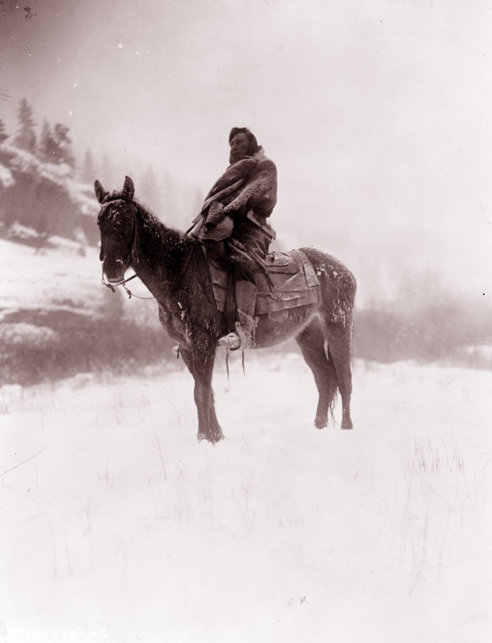 Speideren om vinteren, Apsaroke av Edward Sheriff Curtis