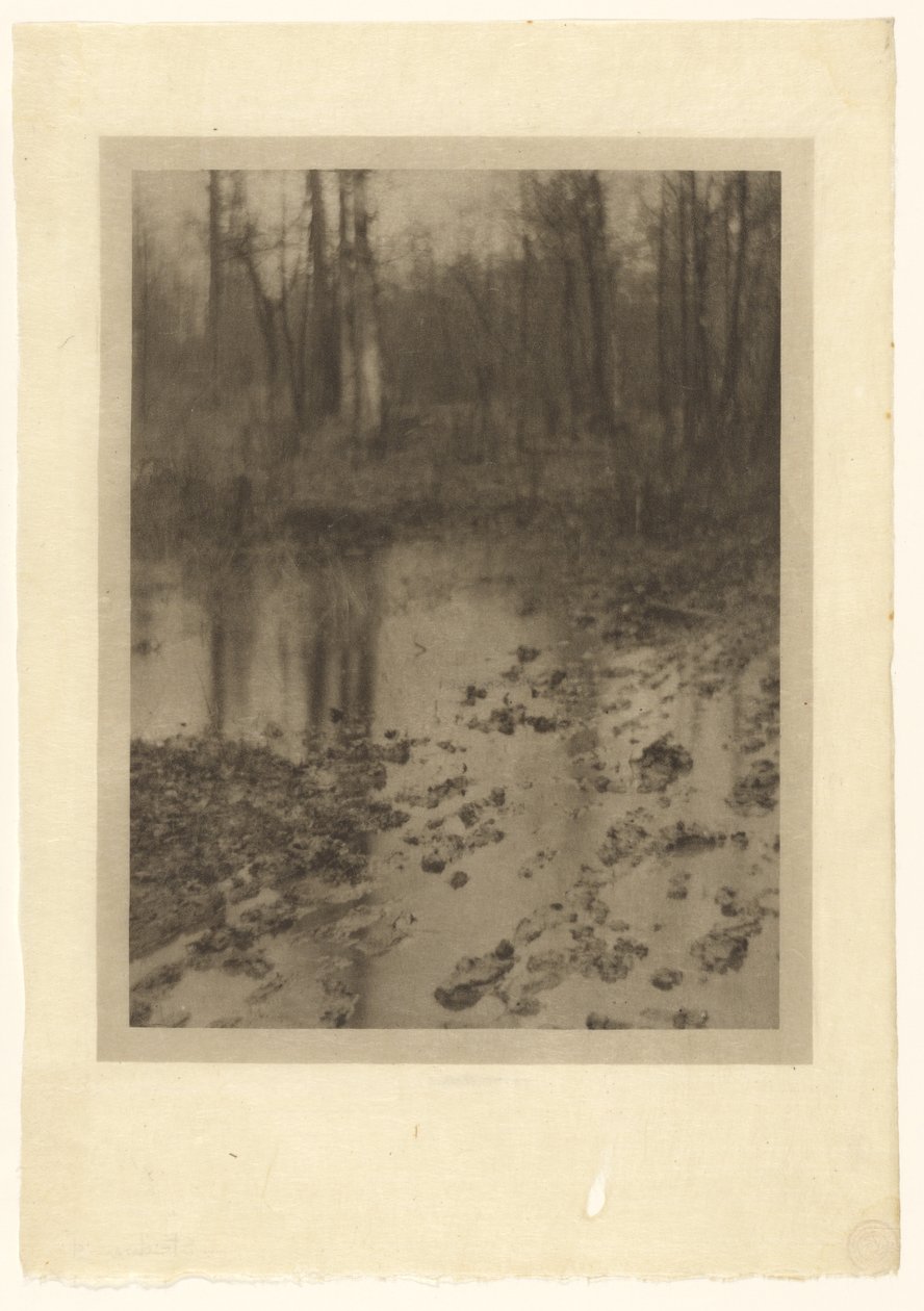  av Edward Steichen