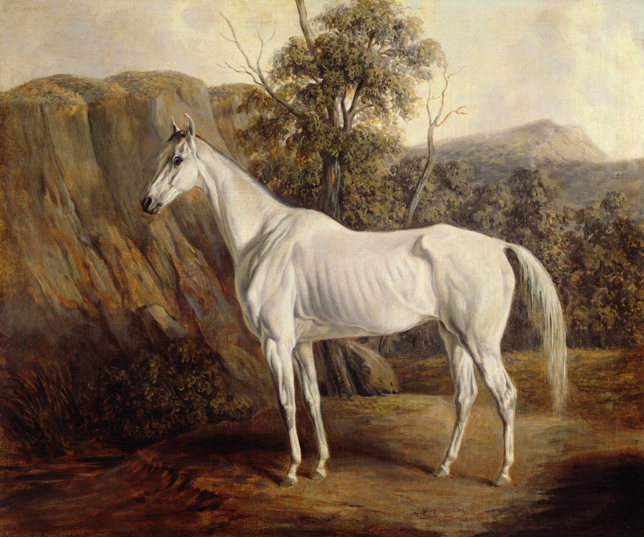 Bolivia, 1836 av Edward Troye