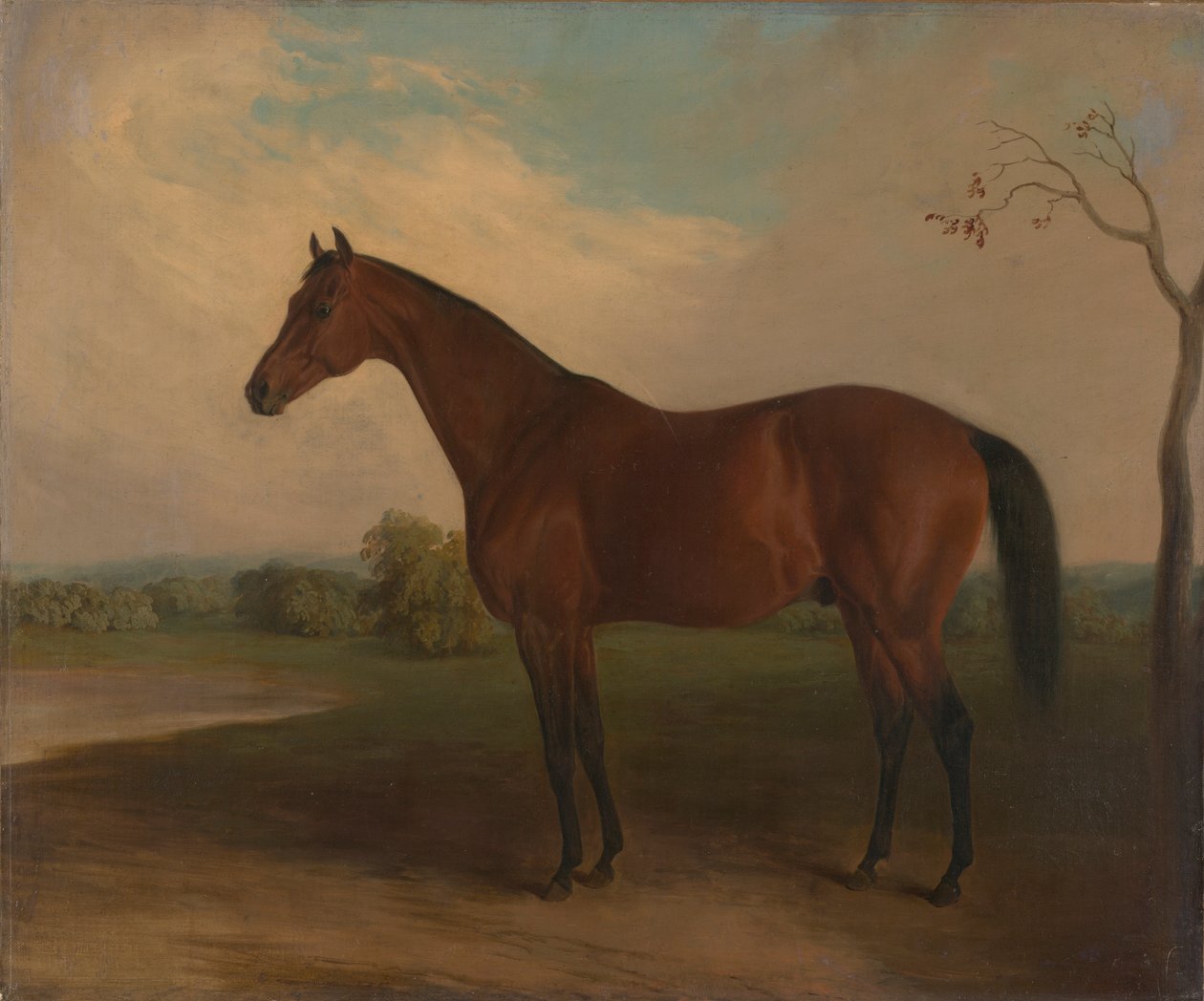 Suverene av Edward Troye