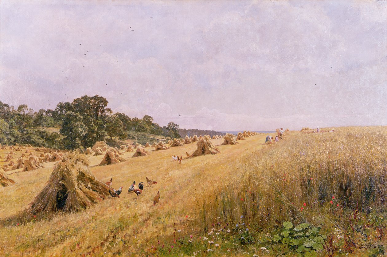 Kornhøst av Edward Wilkins Waite