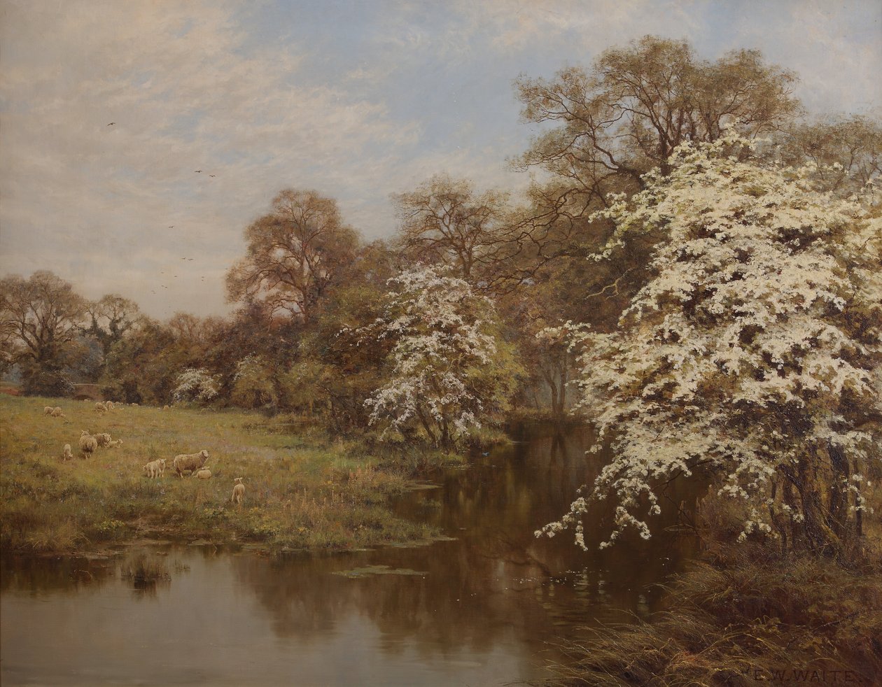Hawthorn Blossom av Edward Wilkins Waite