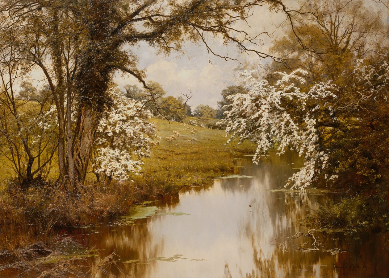Where Spreading Hawthorns Gaily Bloom (olje på lerret) av Edward Wilkins Waite