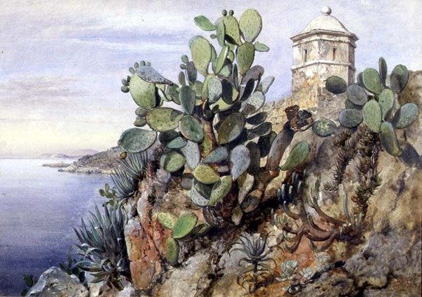 Kaktuspigg, Monaco av Edward William Cooke