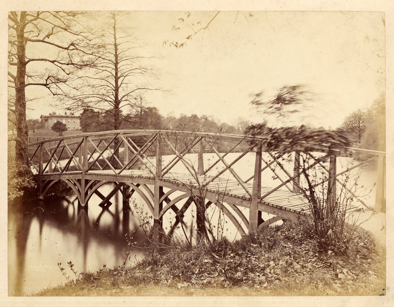 Roundhay Park (s/hvitt bilde) av Edward Wormald