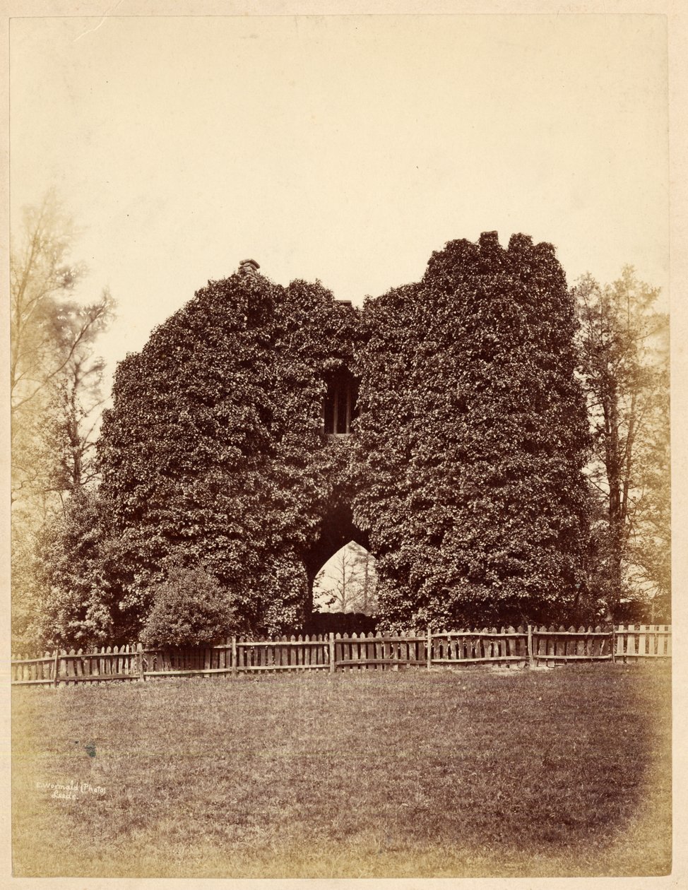 Utsikt over en dårskap i Roundhay Park (albumintrykk) av Edward Wormald