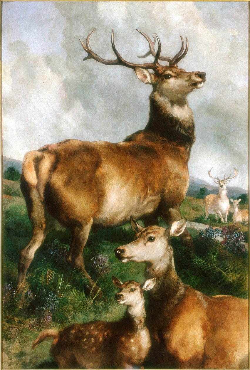 Deer of Chillingham Park, Northumberland, ca. 1867 av Edwin Landseer