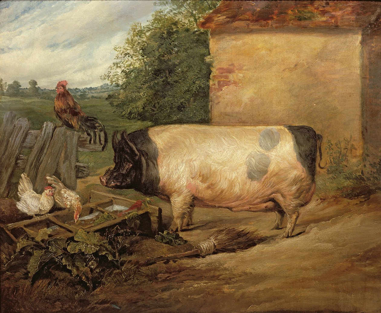 Portrett av en premiegris, eiendom til Squire Weston fra Essex, 1810 av Edwin Landseer