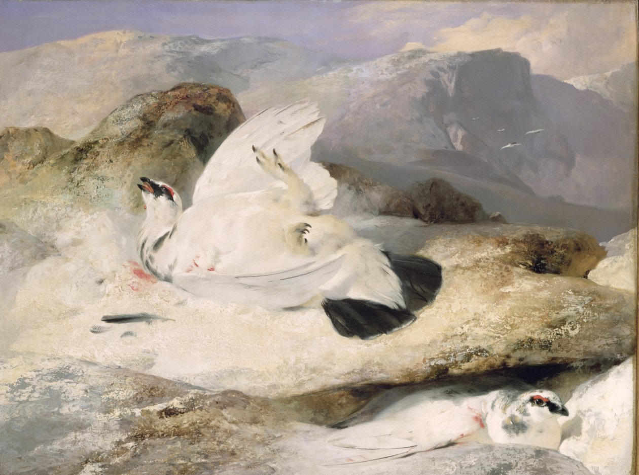 Rype av Edwin Landseer