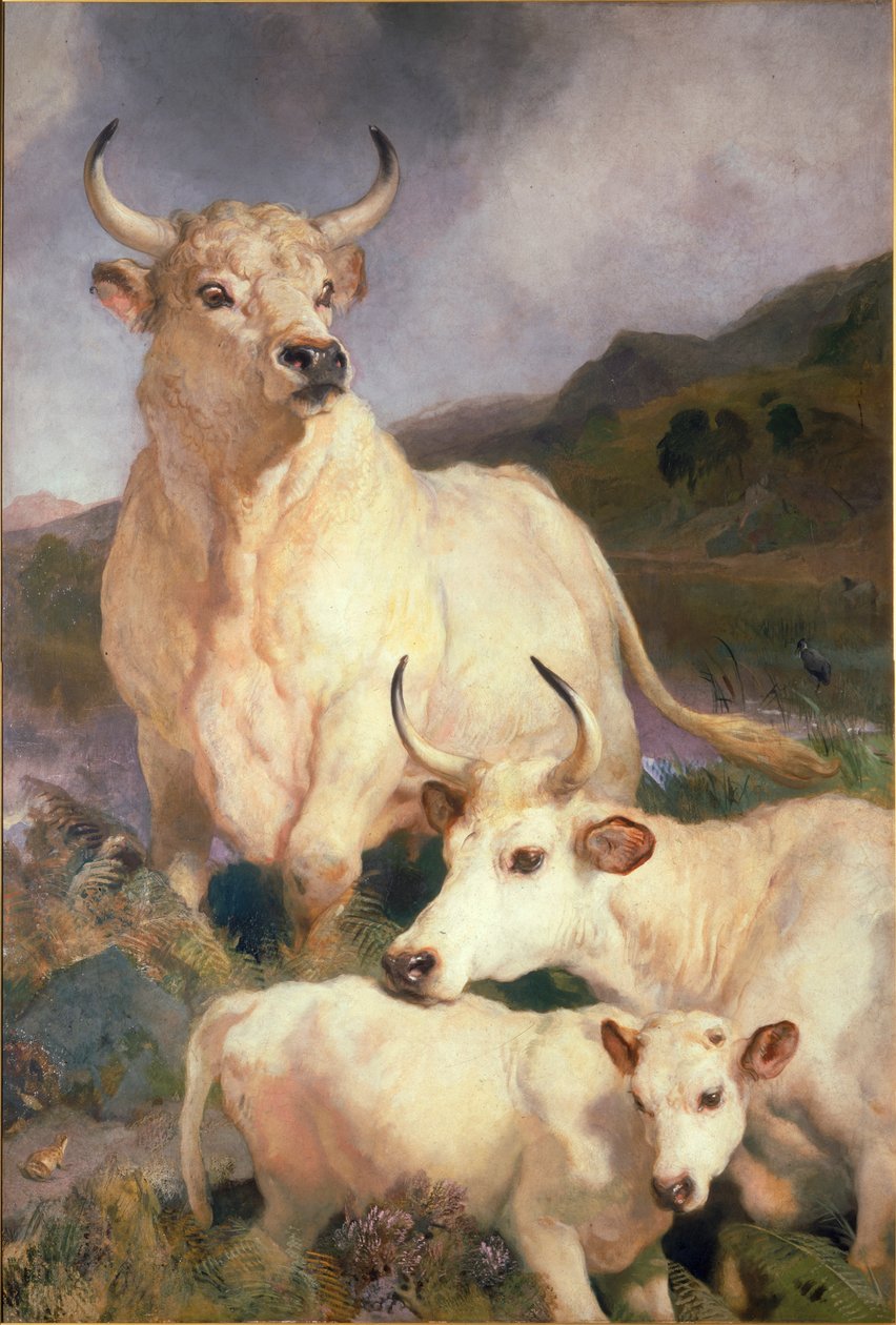 Wild Cattle of Chillingham, Northumberland, ca. 1867 av Edwin Landseer