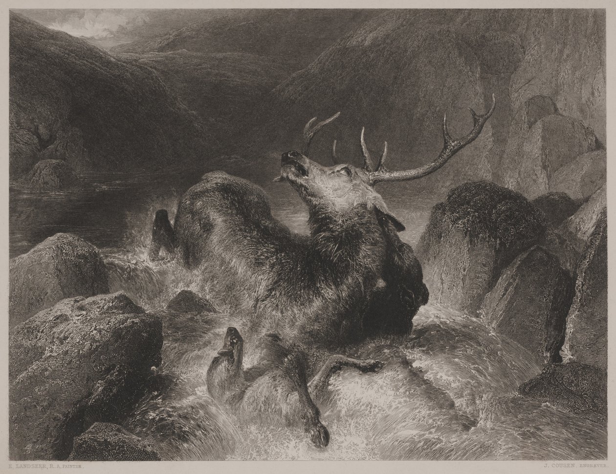 Death of the Stag, gravert av John Cousen (1804-80) av Edwin (after) Landseer