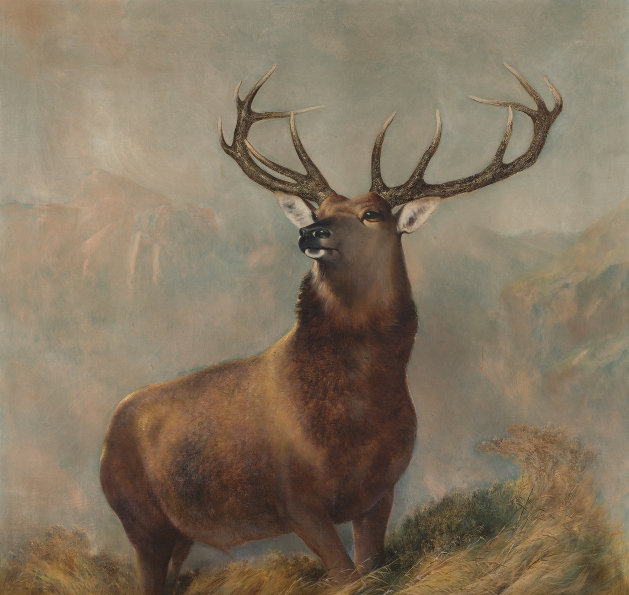 The Monarch of the Glen, ca. 1822-73 (olje på lerret) av Edwin (after) Landseer
