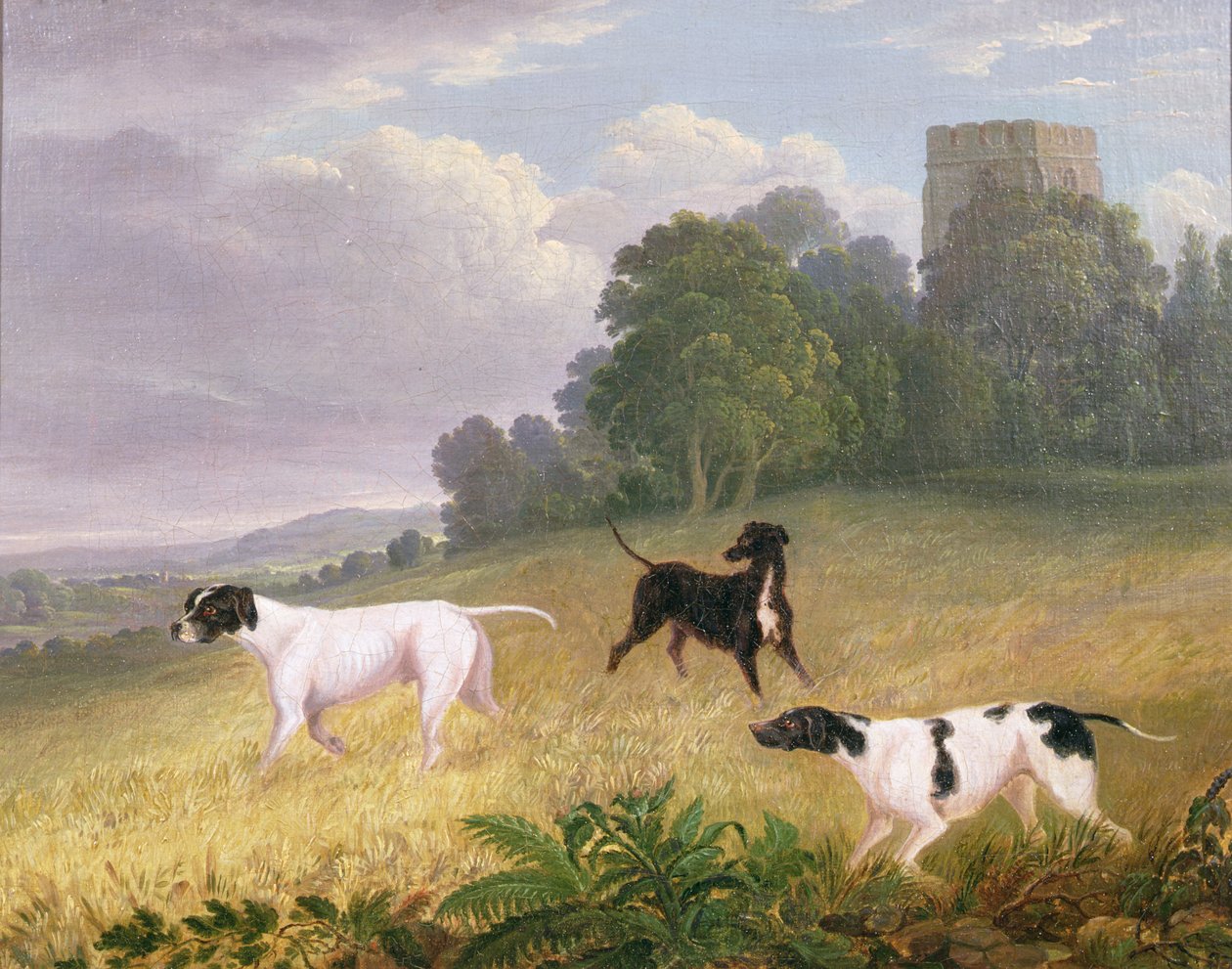 Pekere i et landskap (olje på lerret) av Edwin (attr. to) Cooper
