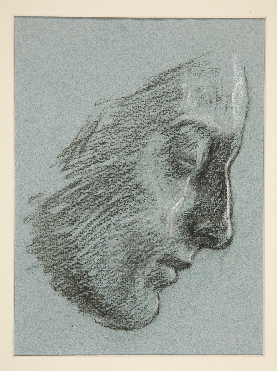 Profil av en ung kvinne av Edwin Austin Abbey