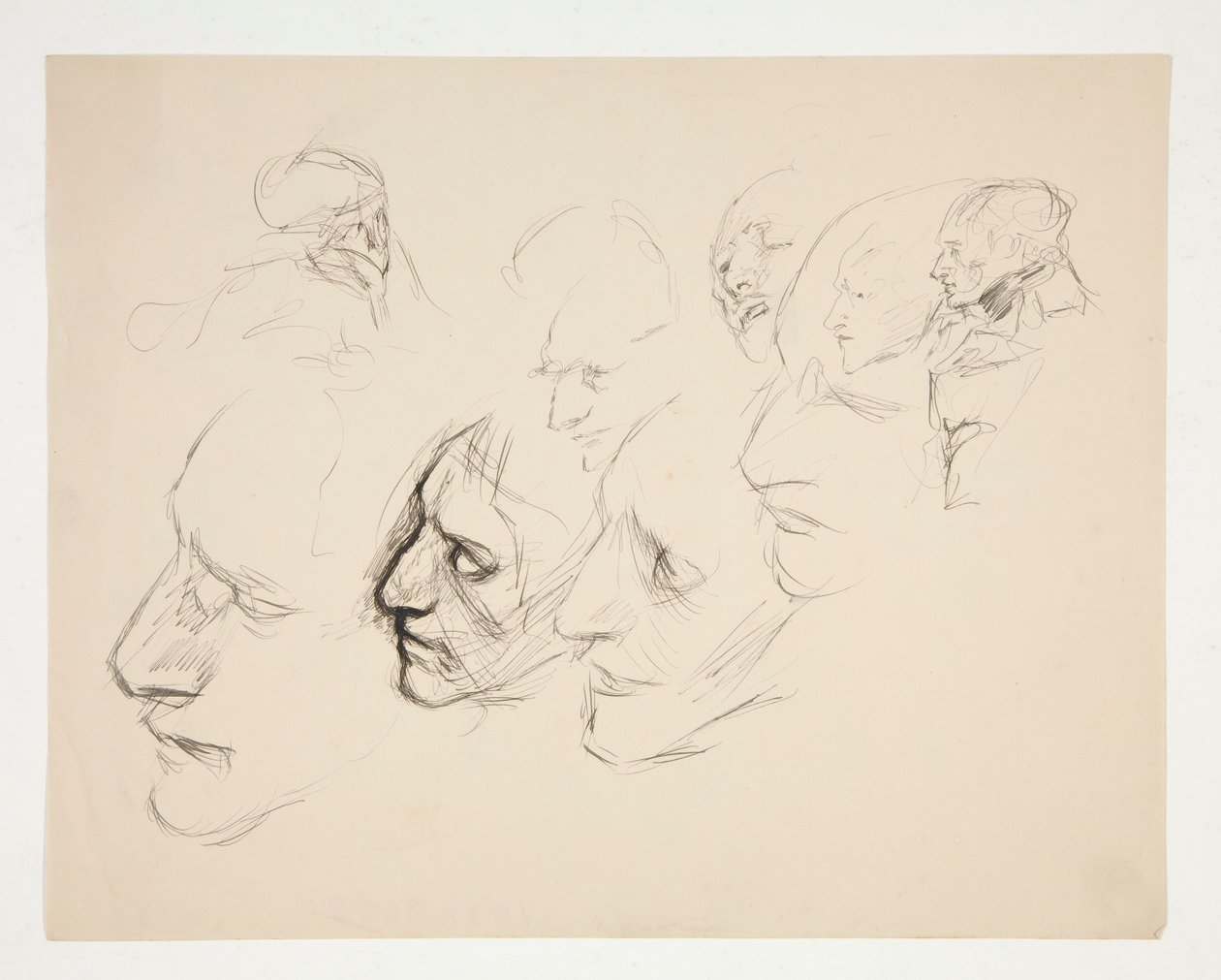 Sheet of studies of a single face   1335059   no       norwegian Successfully Translated  Original: Page from Tales of a Parrot (Tuti-nama): text page Translat: Page from Tales of a Parrot (Tuti-nama): text page 1306151 no norwegian Successfully Translated av Edwin Austin Abbey